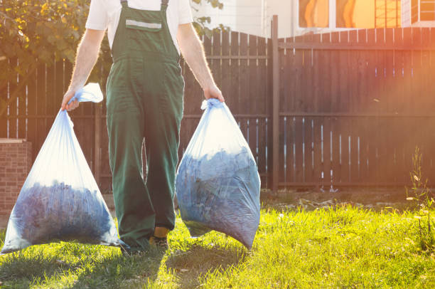 Best Demolition Debris Removal  in Elwood, IL